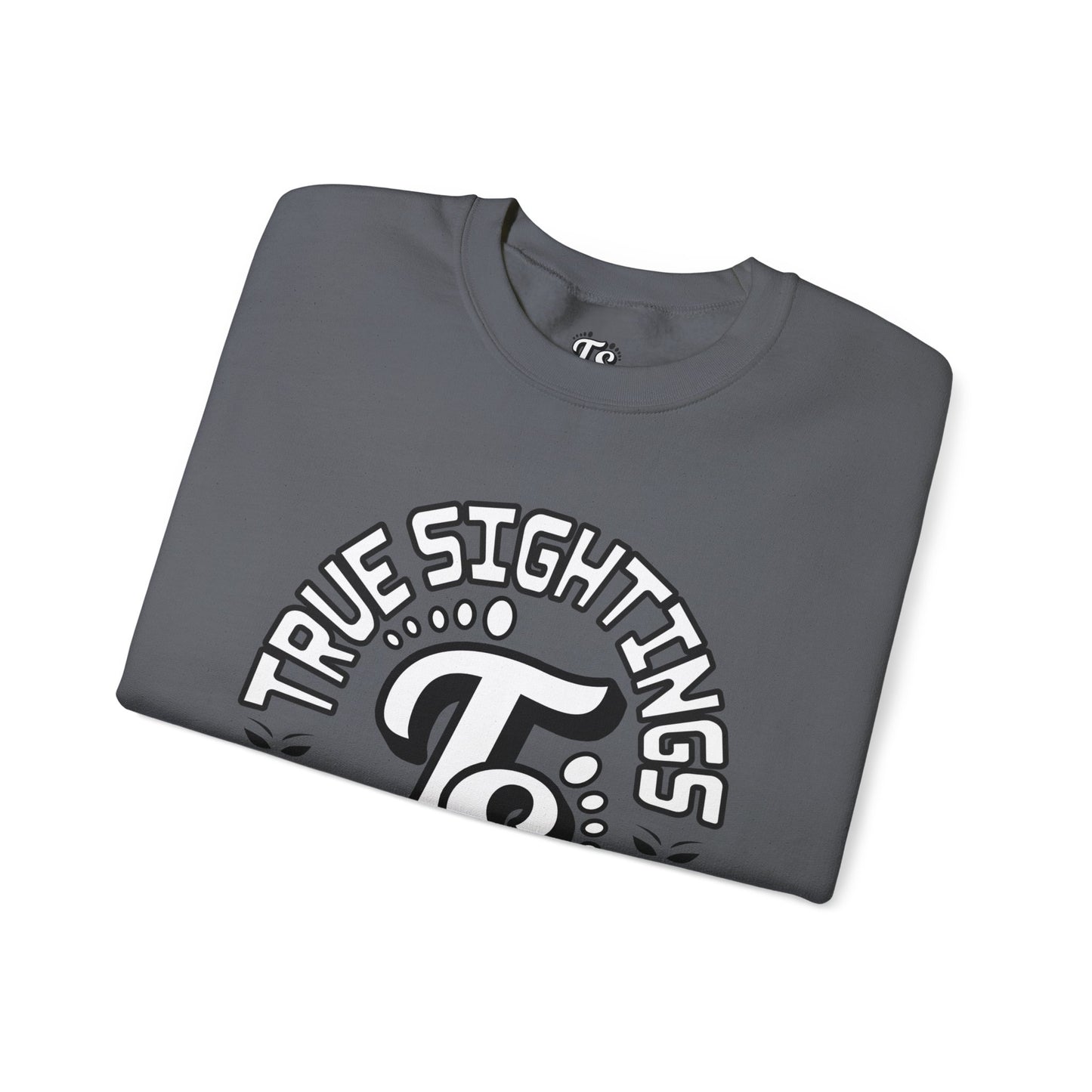 True Sightings Coloring Books Sweatshirt - Unisex Heavy Blend Crewneck
