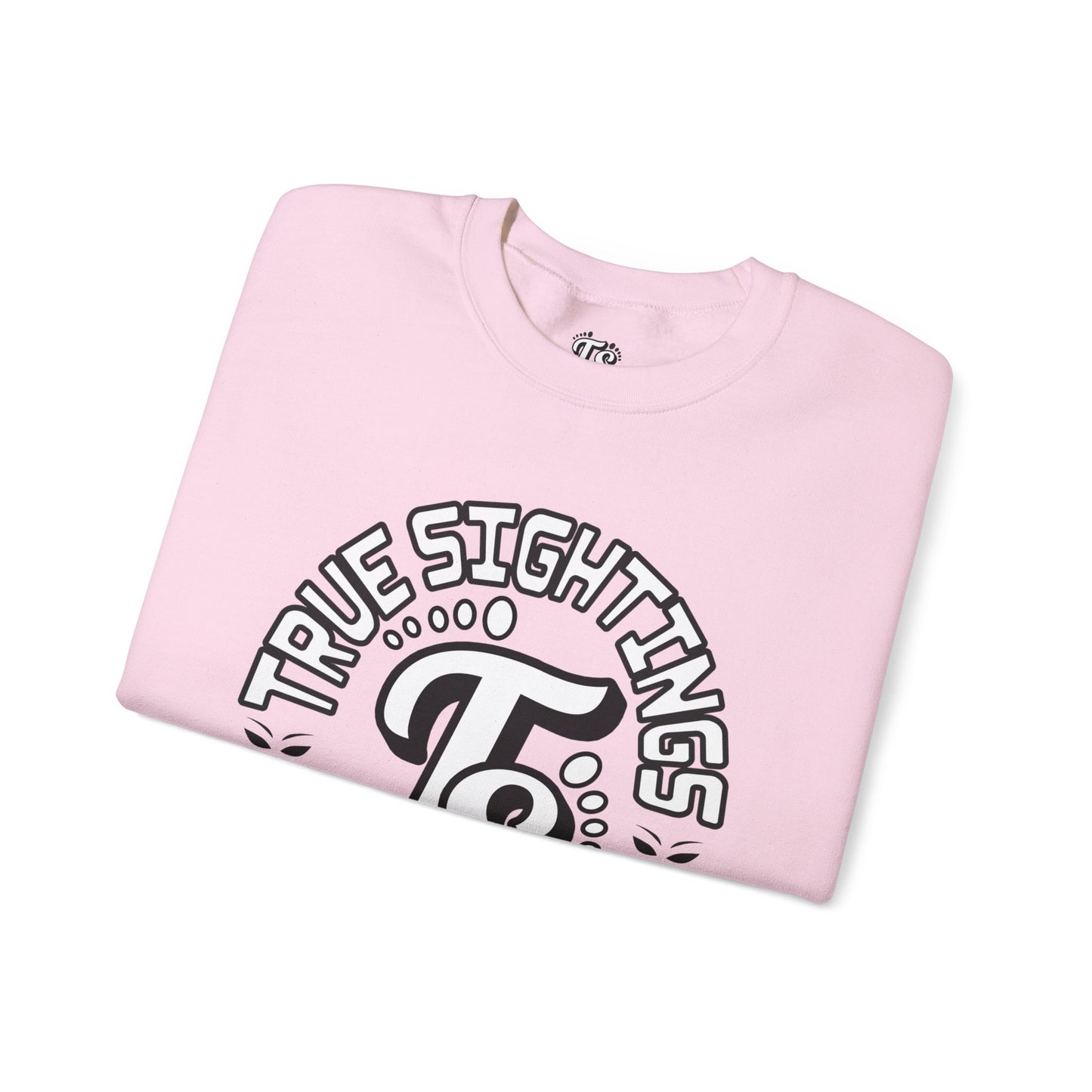 True Sightings Coloring Books Sweatshirt - Unisex Heavy Blend Crewneck