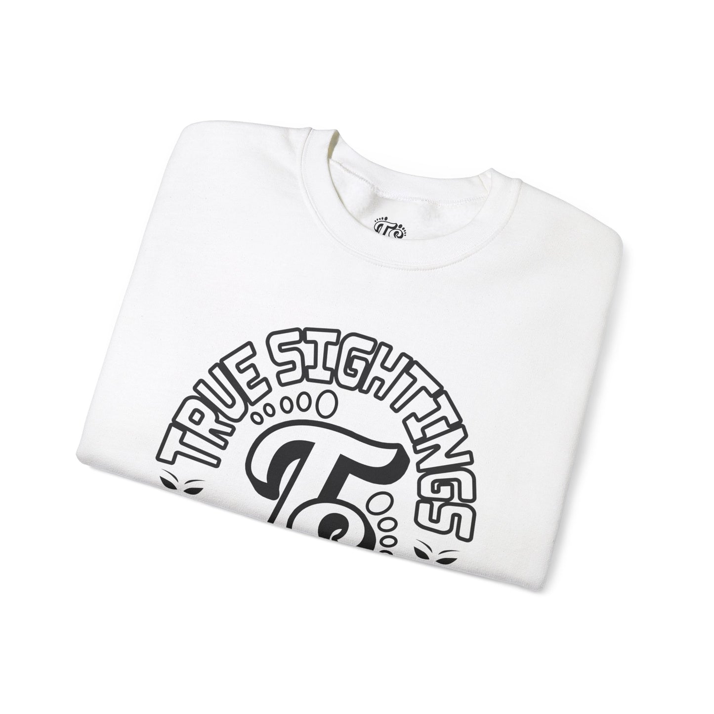 True Sightings Coloring Books Sweatshirt - Unisex Heavy Blend Crewneck