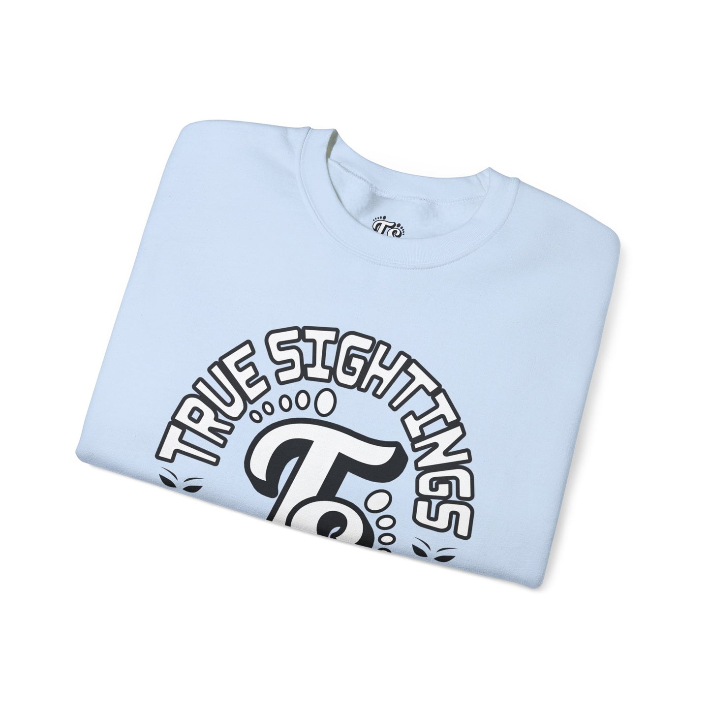 True Sightings Coloring Books Sweatshirt - Unisex Heavy Blend Crewneck