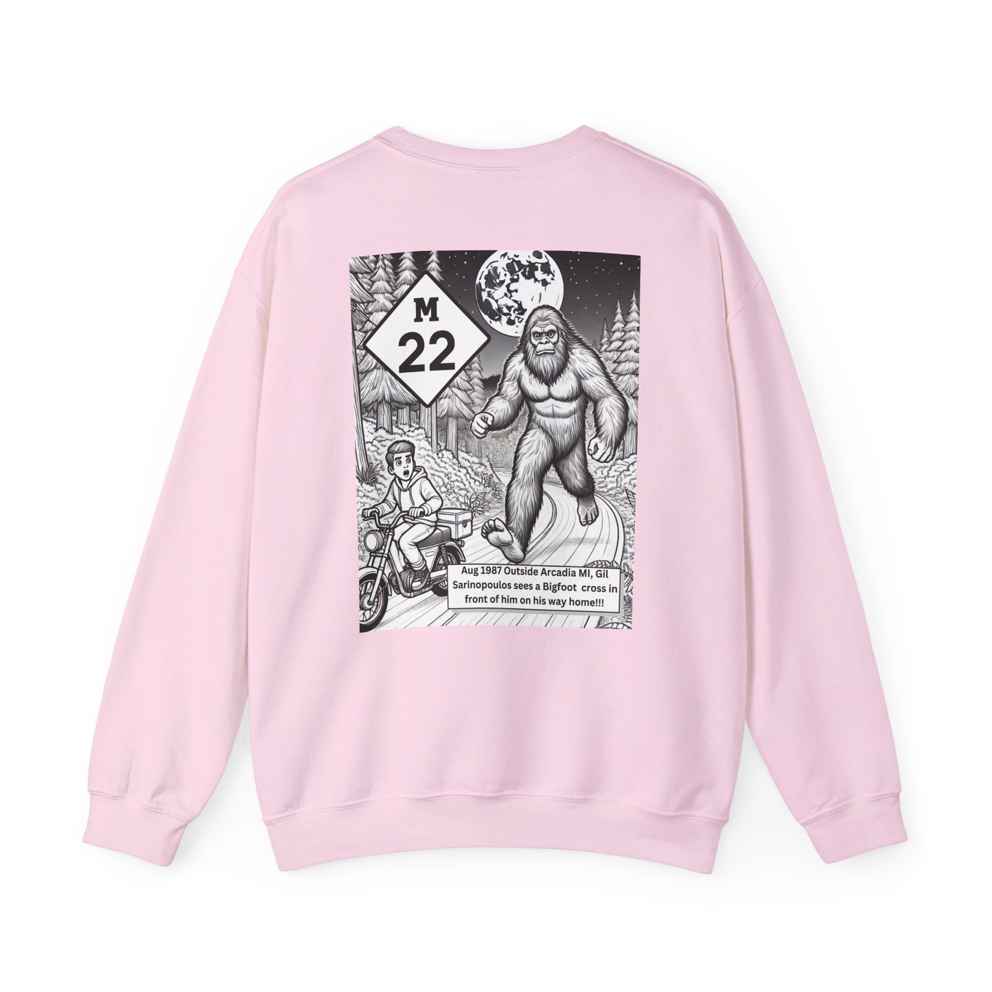 True Sightings Coloring Books Sweatshirt - Unisex Heavy Blend Crewneck