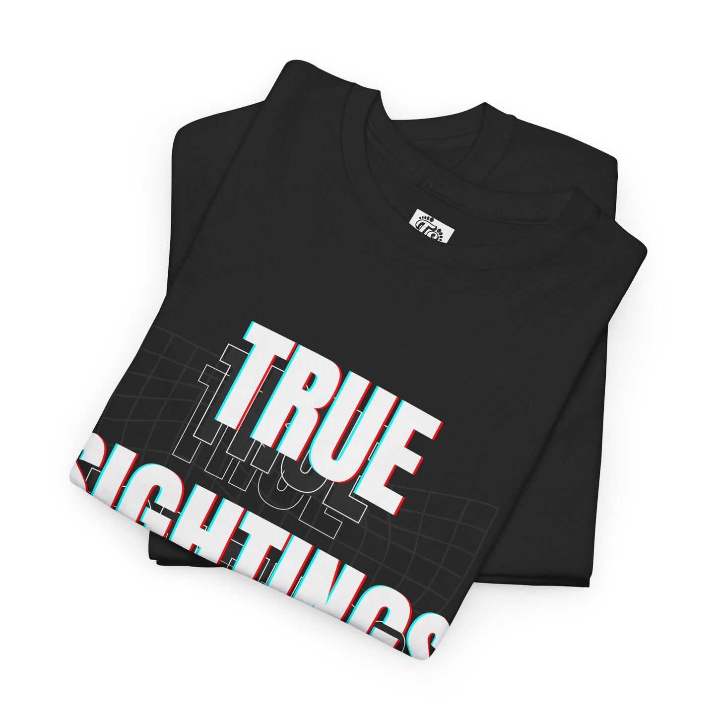 True Sightings Unisex Heavy Cotton Tee - Fun Graphic Tee for Adventure Lovers