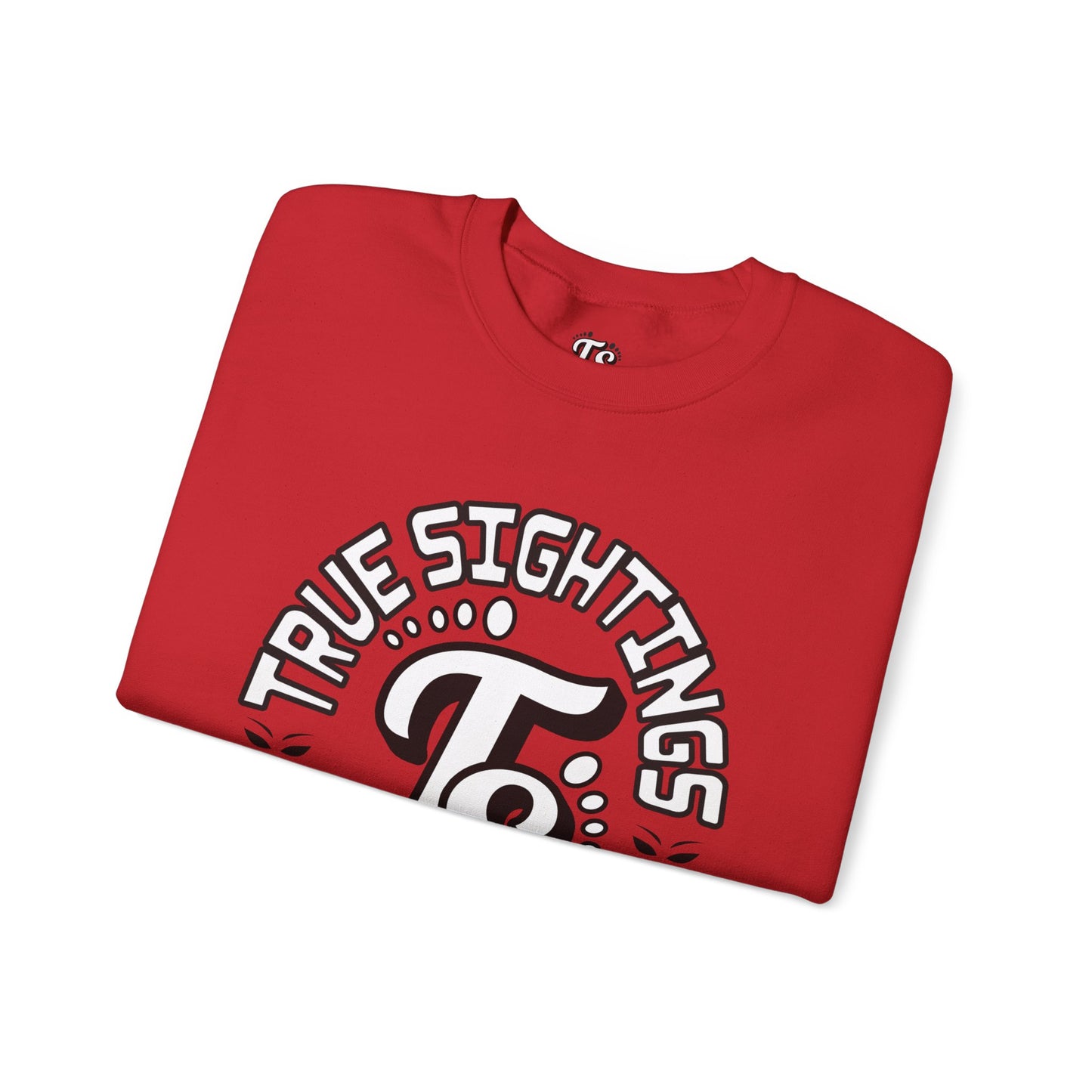 True Sightings Coloring Books Sweatshirt - Unisex Heavy Blend Crewneck