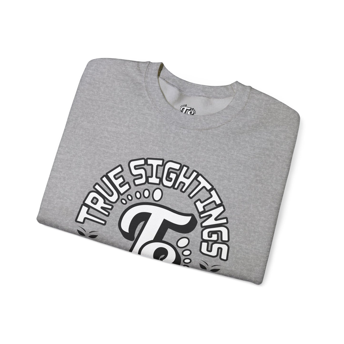 True Sightings Coloring Books Sweatshirt - Unisex Heavy Blend Crewneck