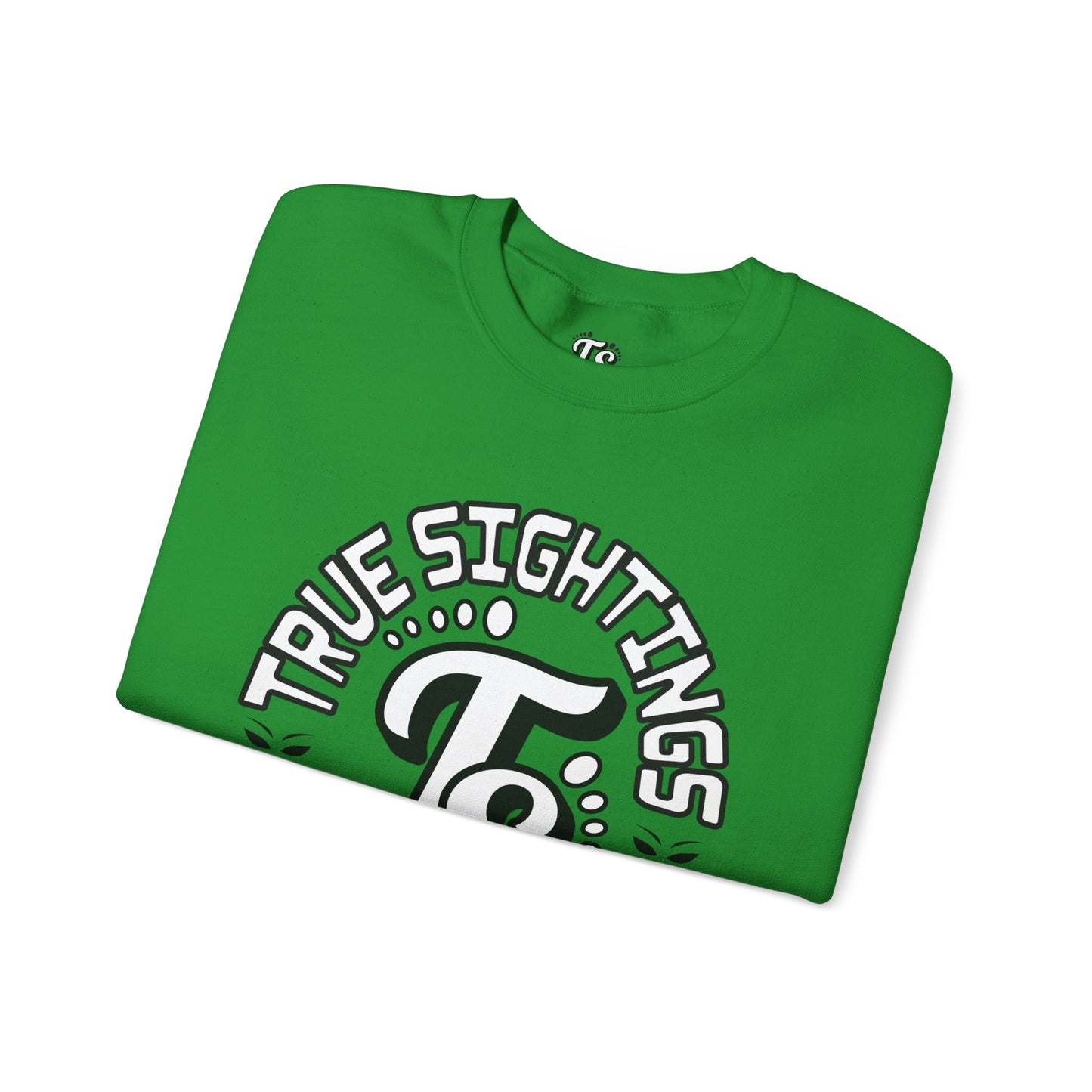 True Sightings Coloring Books Sweatshirt - Unisex Heavy Blend Crewneck