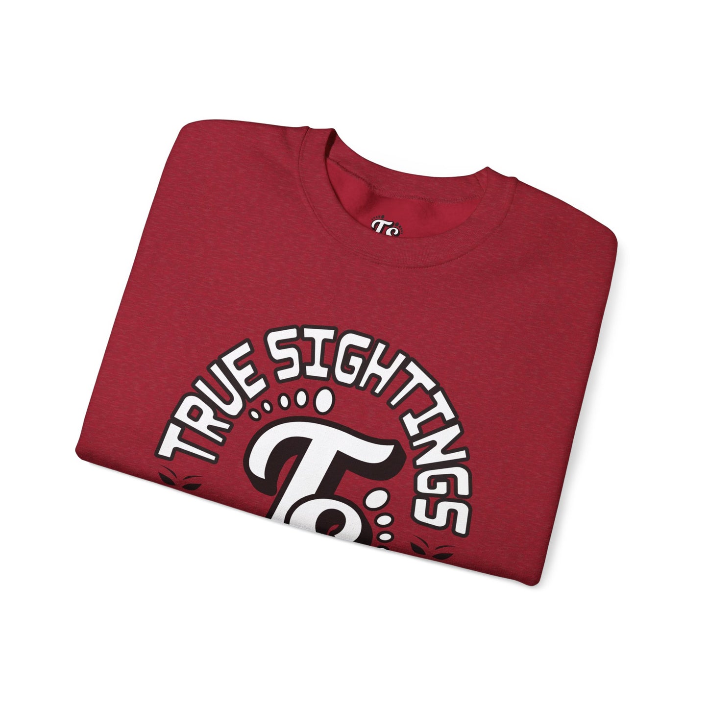 True Sightings Coloring Books Sweatshirt - Unisex Heavy Blend Crewneck