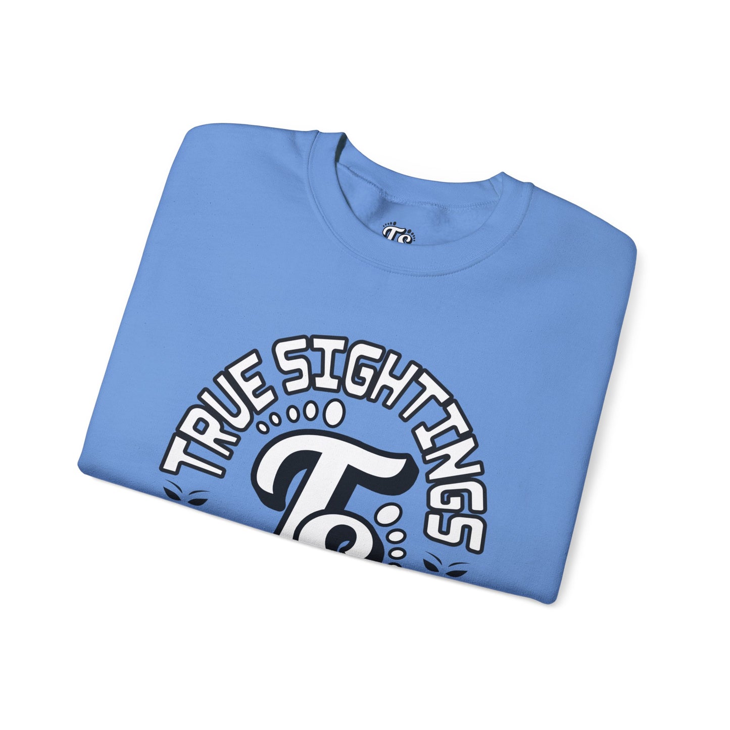 True Sightings Coloring Books Sweatshirt - Unisex Heavy Blend Crewneck