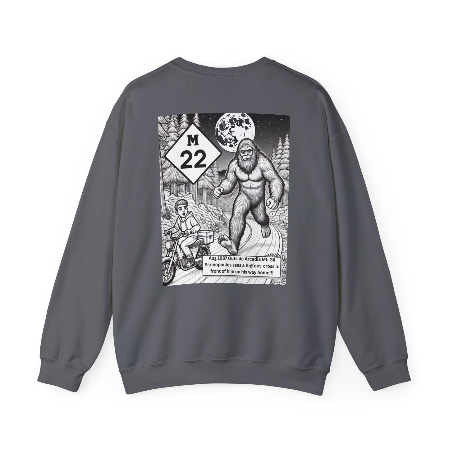 True Sightings Coloring Books Sweatshirt - Unisex Heavy Blend Crewneck