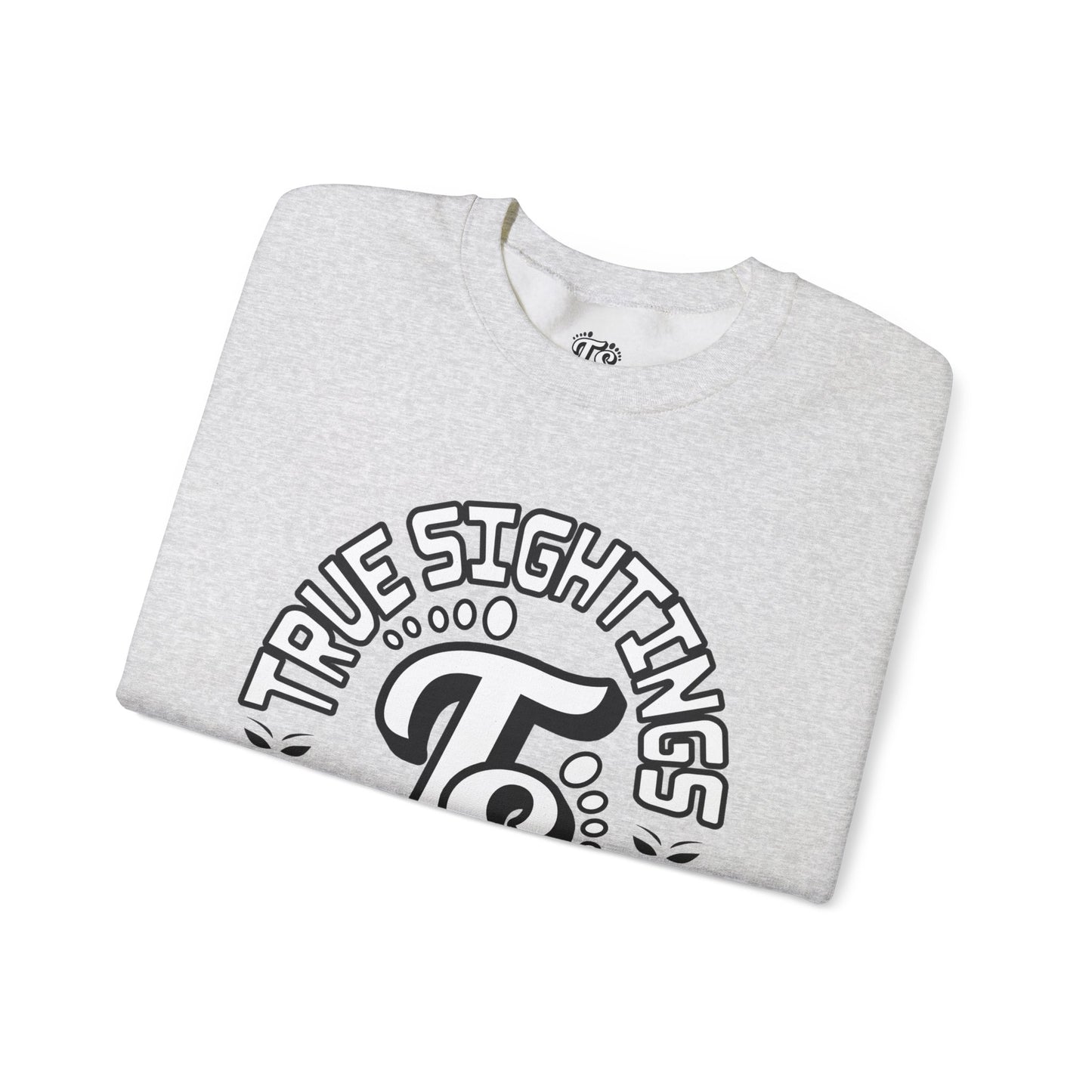 True Sightings Coloring Books Sweatshirt - Unisex Heavy Blend Crewneck