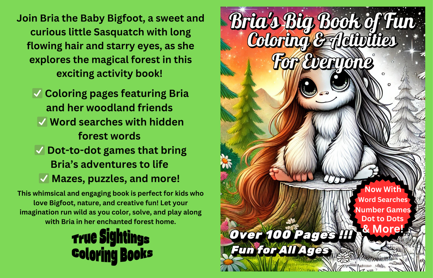 Bria's Big Book of Fun